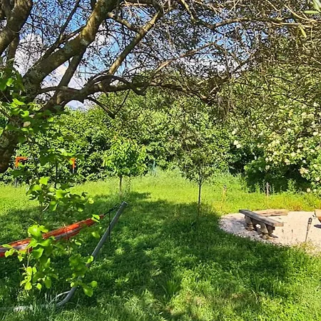 Maison Avec Piscine Entre Garrigue Et Cevennes Дом отдыха Cazilhac (Herault)